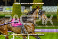 2026_PACEPIX_GP22092026_RACE8_PrincessDiamond_WIN_WEB-3