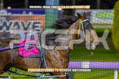 2026_PACEPIX_GP22092026_RACE8_PrincessDiamond_WIN_WEB-5