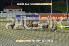 2026_PACEPIX_GP22092026_RACE8_PrincessDiamond_WIN_WEB-6
