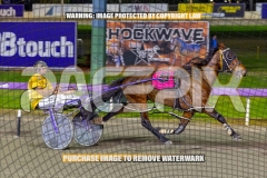 2026_PACEPIX_GP22092026_RACE8_PrincessDiamond_WIN_WEB-8