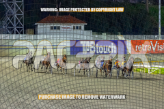 2026_PACEPIX_GP01092026_Race8_PurelyPandemic_WIN_WEB-1