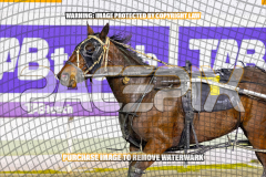 2026_PACEPIX_GP01092026_Race8_PurelyPandemic_WIN_WEB-11