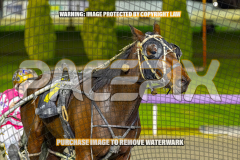 2026_PACEPIX_GP01092026_Race8_PurelyPandemic_WIN_WEB-13