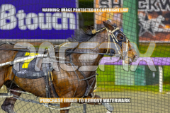 2026_PACEPIX_GP01092026_Race8_PurelyPandemic_WIN_WEB-8
