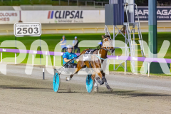 2025_PACEPIX_GP28102025_Race8_Quiggley_WIN_WEB-10