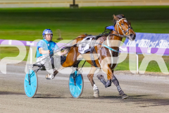 2025_PACEPIX_GP28102025_Race8_Quiggley_WIN_WEB-12