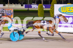 2025_PACEPIX_GP28102025_Race8_Quiggley_WIN_WEB-15