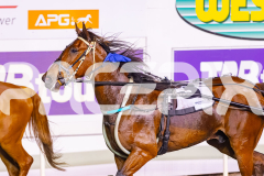 2025_PACEPIX_GP28102025_Race8_Quiggley_WIN_WEB-19