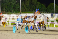 2025_PACEPIX_GP28102025_Race8_Quiggley_WIN_WEB-2
