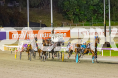 2025_PACEPIX_GP28102025_Race8_Quiggley_WIN_WEB-5