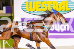 2025_PACEPIX_GP28102025_Race8_Quiggley_WIN_WEB-8