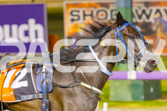 2025_PACEPIX_GP16012026_Race8_RakeroRaider_WIN_WEB-11