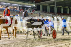 2025_PACEPIX_GP16012026_Race8_RakeroRaider_WIN_WEB-18