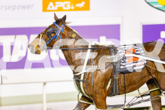 2025_PACEPIX_GP01082025_RACE8_RecoverLover_WIN_WEB-11