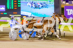 2025_PACEPIX_GP01082025_RACE8_RecoverLover_WIN_WEB-6