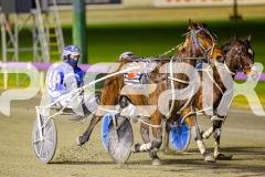 2025_PACEPIX_GP01082025_RACE8_RecoverLover_WIN_WEB-9