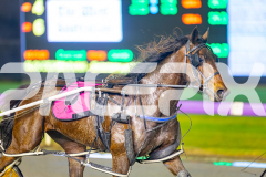 2025_PACEPIX_GP19082025_RACE8_RockstarQuality_WIN_WEB-12