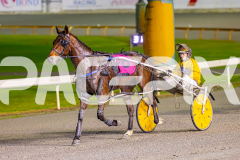 2025_PACEPIX_GP19082025_RACE8_RockstarQuality_WIN_WEB-13