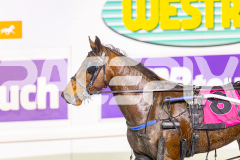 2025_PACEPIX_GP19082025_RACE8_RockstarQuality_WIN_WEB-14