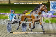 2026_PACEPIX_GP27102026_Race8_Rushie_WIN_WEB-15