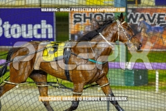 2026_PACEPIX_GP27102026_Race8_Rushie_WIN_WEB-16