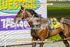 2026_PACEPIX_GP27102026_Race8_Rushie_WIN_WEB-20