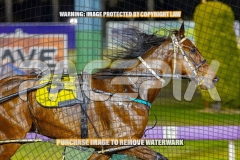 2026_PACEPIX_GP27102026_Race8_Rushie_WIN_WEB-3