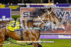 2026_PACEPIX_GP27102026_Race8_Rushie_WIN_WEB-6