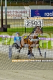 2026_PACEPIX_GP27102026_Race8_Rushie_WIN_WEB-9
