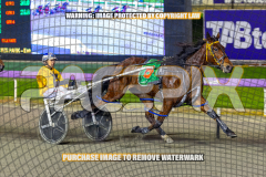 RACE 8 - Sheer Rock Lady