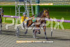 2026_PACEPIX_GP24072026_RACE8_SheerRockLady_WIN_WEB-2