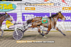 2026_PACEPIX_GP24072026_RACE8_SheerRockLady_WIN_WEB-5