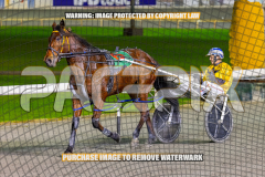 2026_PACEPIX_GP24072026_RACE8_SheerRockLady_WIN_WEB-6