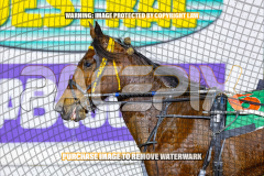 2026_PACEPIX_GP24072026_RACE8_SheerRockLady_WIN_WEB-7