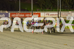 2025_PACEPIX_GP18062025_RACE8_SHEZA-SASSY-LASSY_WIN_WEB-1