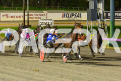 2025_PACEPIX_GP18062025_RACE8_SHEZA-SASSY-LASSY_WIN_WEB-2