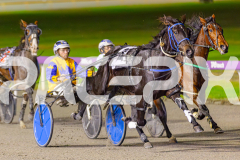 2025_PACEPIX_GP03062025_RACE8_ShooBoozy_WIN_WEB-10