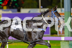 2025_PACEPIX_GP03062025_RACE8_ShooBoozy_WIN_WEB-16