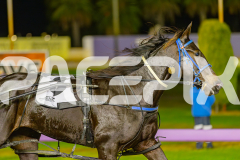 2025_PACEPIX_GP03062025_RACE8_ShooBoozy_WIN_WEB-17