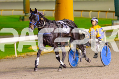 2025_PACEPIX_GP03062025_RACE8_ShooBoozy_WIN_WEB-18