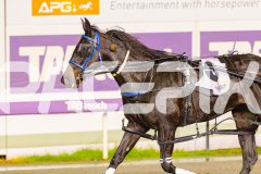 2025_PACEPIX_GP03062025_RACE8_ShooBoozy_WIN_WEB-21