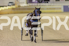 2025_PACEPIX_GP03062025_RACE8_ShooBoozy_WIN_WEB-23