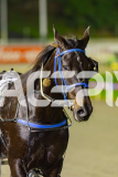 2025_PACEPIX_GP03062025_RACE8_ShooBoozy_WIN_WEB-27
