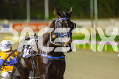 2025_PACEPIX_GP03062025_RACE8_ShooBoozy_WIN_WEB-28