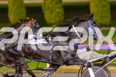 2025_PACEPIX_GP03062025_RACE8_ShooBoozy_WIN_WEB-6