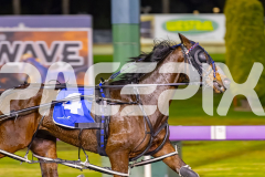 2025_PACEPIX_GP16092025_Race8_SomethingCertain_WIN_WEB-5