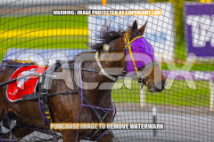 2026_PACEPIX_GP27072026_Race8_Soundwave_WIN_WEB-13