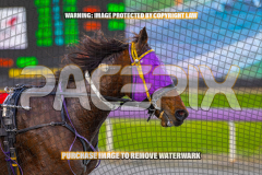 2026_PACEPIX_GP27072026_Race8_Soundwave_WIN_WEB-14