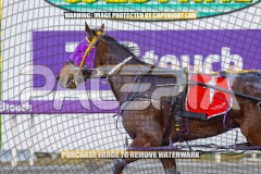 2026_PACEPIX_GP27072026_Race8_Soundwave_WIN_WEB-16