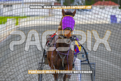 2026_PACEPIX_GP27072026_Race8_Soundwave_WIN_WEB-18